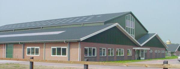 Grote foto