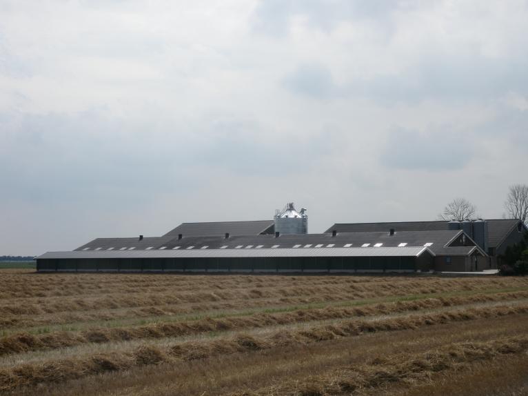 Grote foto